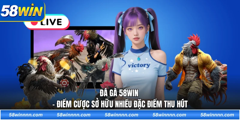 Đá gà 58WIN - Điểm cược sở hữu nhiều đặc điểm thu hút
