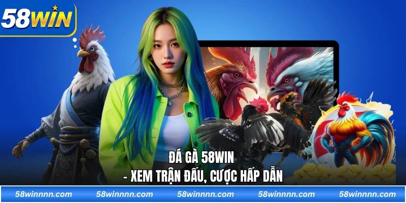 Đá gà 58WIN - Xem trận đấu, cược hấp dẫn