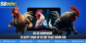 Đá Gà Campuchia - Bí quyết chọn gà và đặt cược chuẩn xác