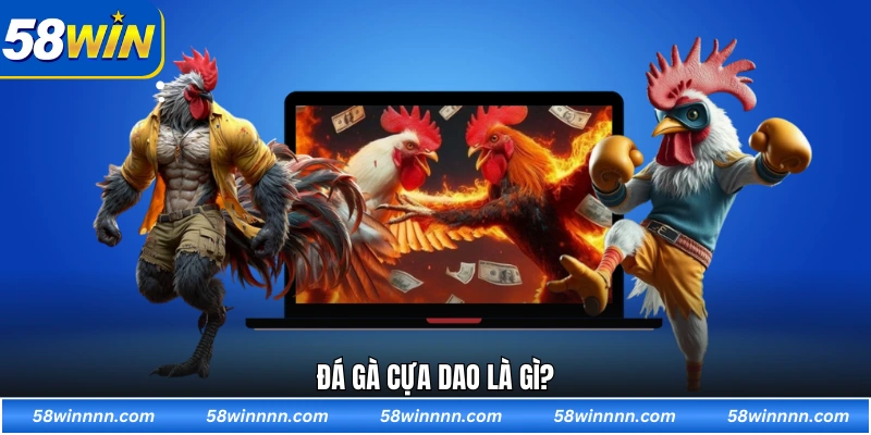 Đá gà cựa dao là gì?