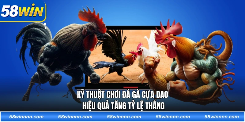 Kỹ Thuật Chơi Đá Gà Cựa Dao hiệu Quả Tăng Tỷ Lệ Thắng