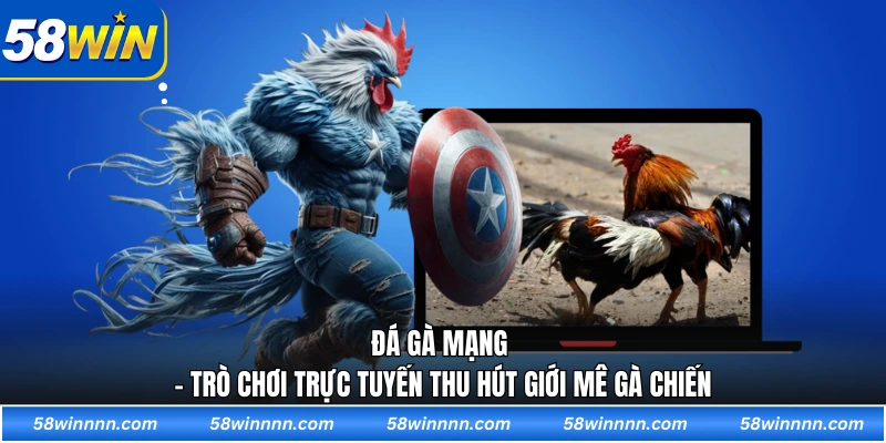 Đá gà mạng - Trò chơi trực tuyến thu hút giới mê gà chiến