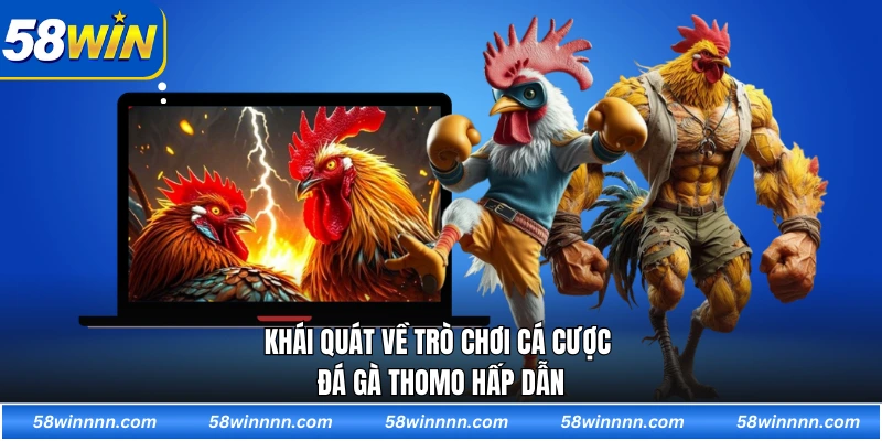 Khái quát về trò chơi cá cược đá gà Thomo hấp dẫn