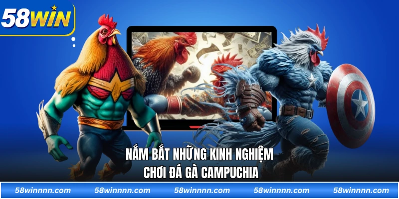 Nắm bắt những kinh nghiệm chơi đá gà Campuchia