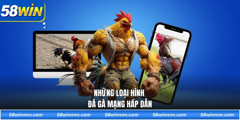 Những loại hình đá gà mạng hấp dẫn