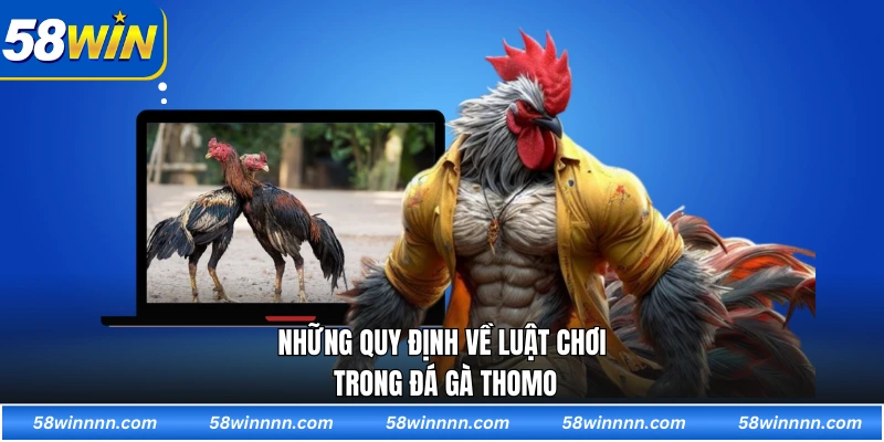 Những quy định về luật chơi trong đá gà Thomo