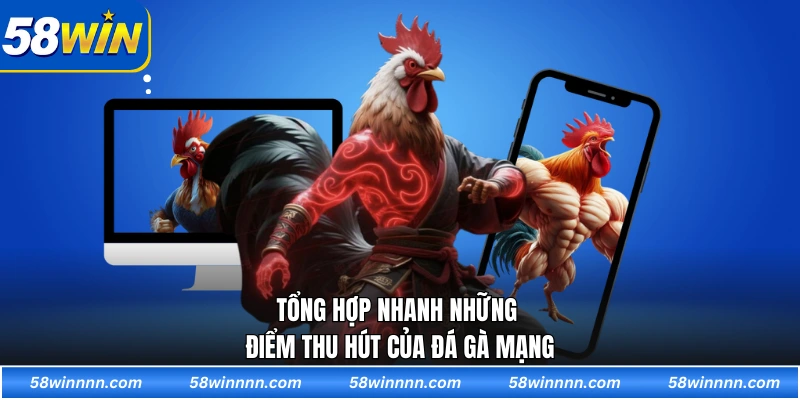 Tổng hợp nhanh những điểm thu hút của đá gà mạng